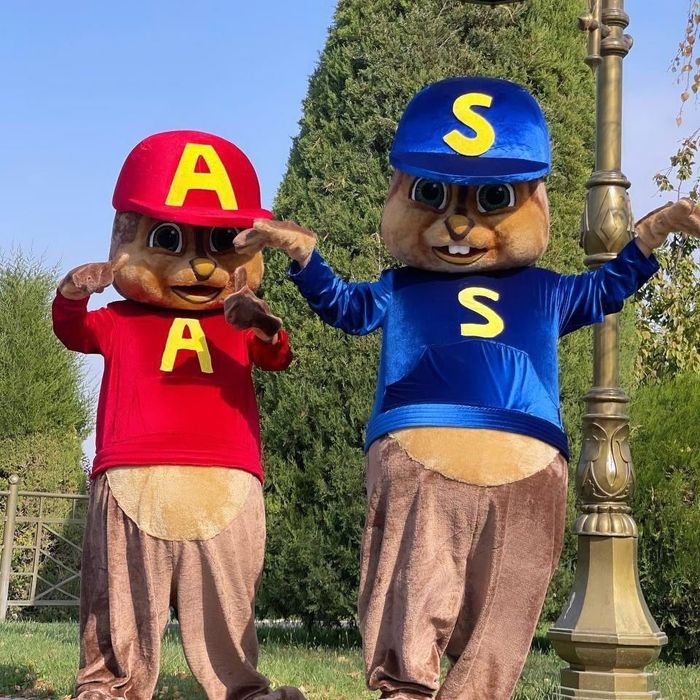 Afarmileniya va ayiqlar