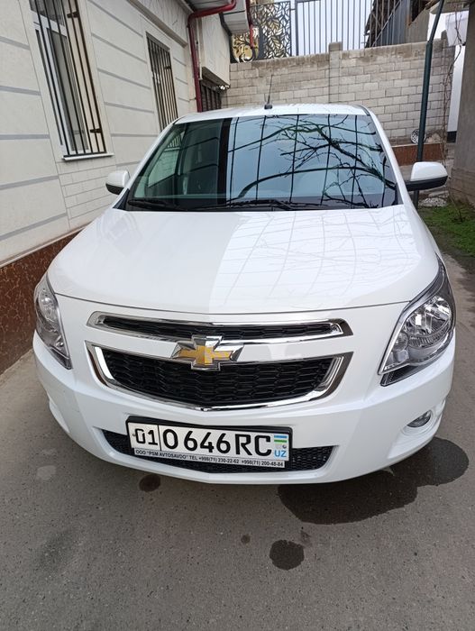 Kobalt msm stayl yengi 1200 yurgan tayyor sotaman gen gaplashamiz 2026