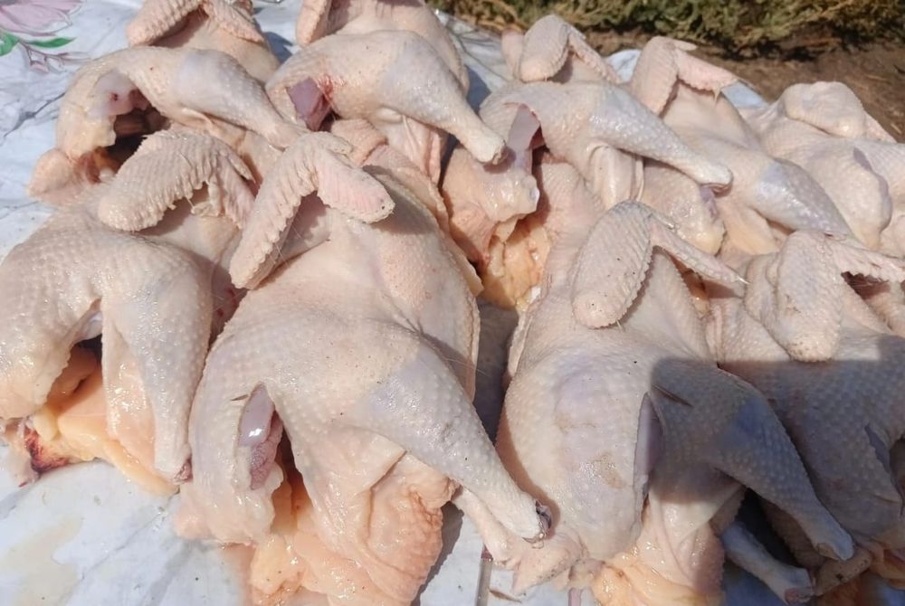 Домашние куриные тушки