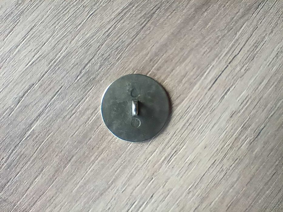 Колекции от значки Могилев и Калуга