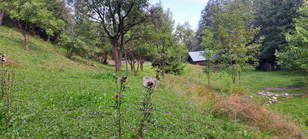 Vanzqre teren intravilan