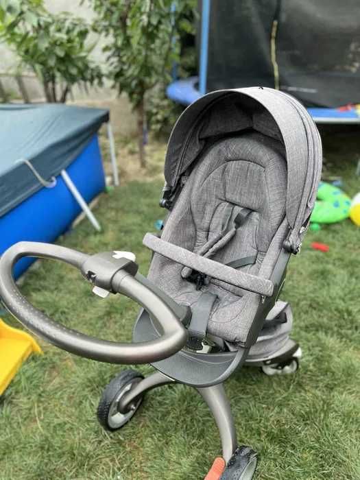 Carut Stokke superb