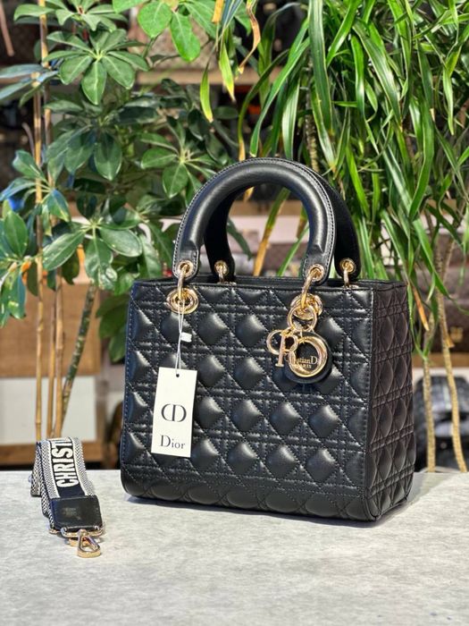 Geanta Dior noua !!! Dimensiuni 25/20 !!!