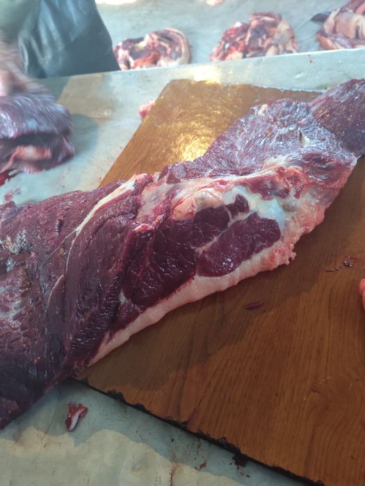 Соғым/ет/жылқы/согым