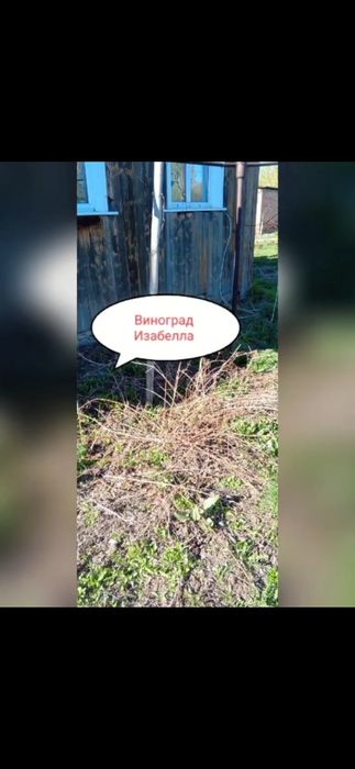 Продаётся деревянный дом