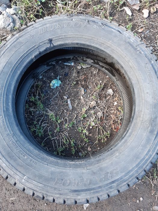 Продам Шины