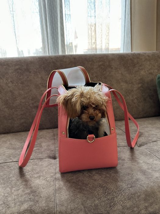 Кучешка чанта от естествена кожа