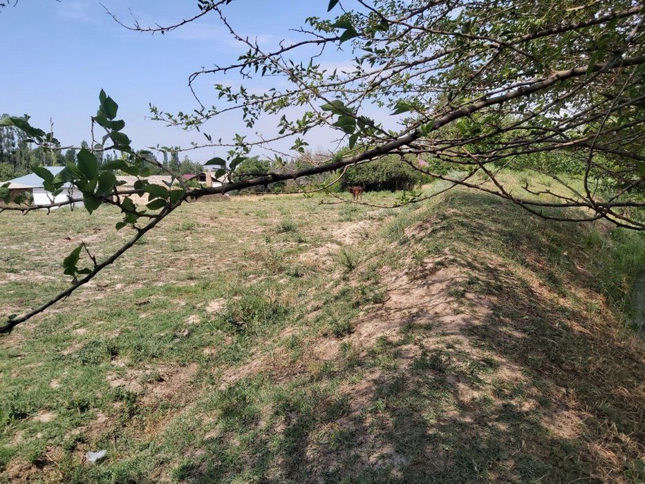 Ер сотилади, yer sotiladi, uy ўй