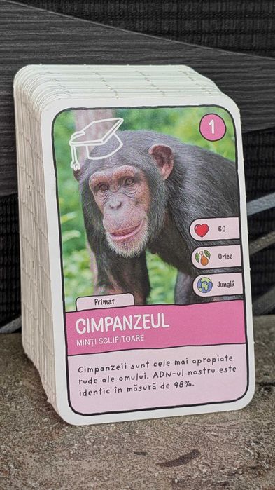 Cartonase Mega Image - Expeditie in jurul lumii 1 si 2