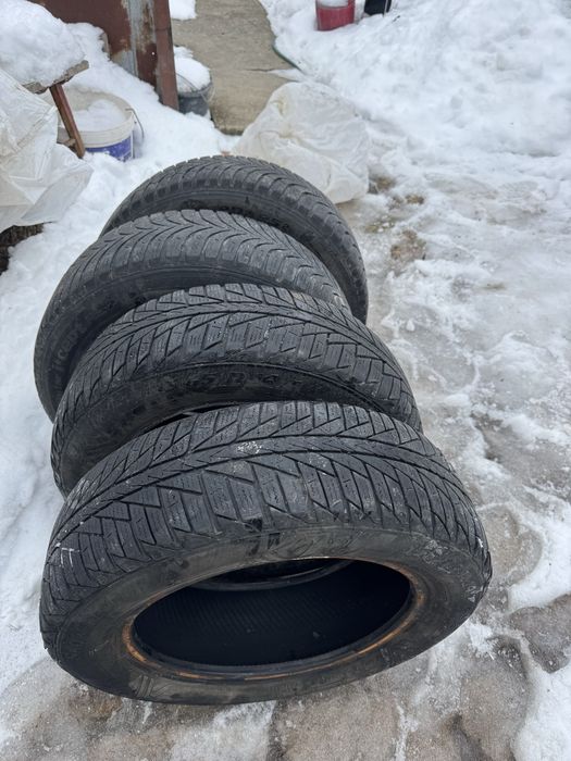 Cauciucuri iarna 175 65 14