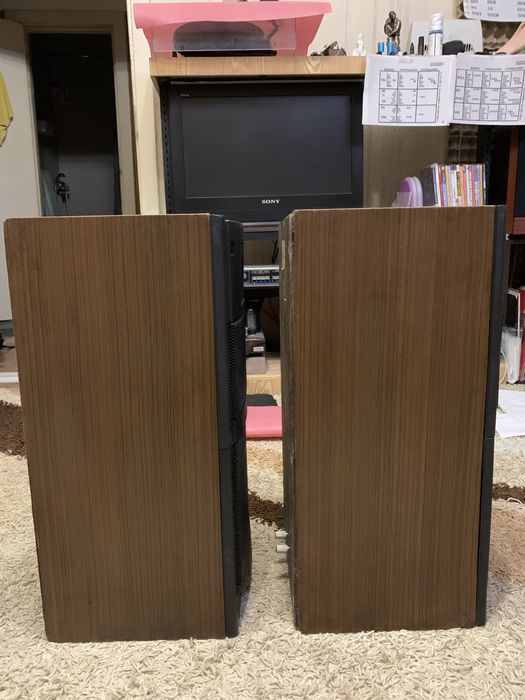 Колонки  Вега 106