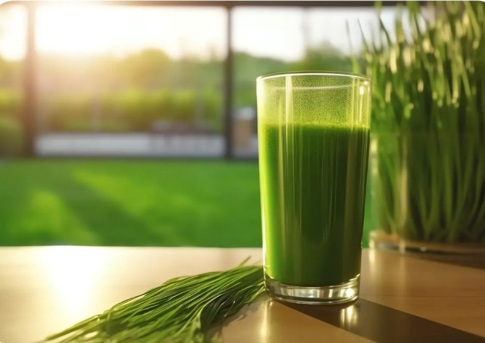 Витграсс - сок ростков пшеницы