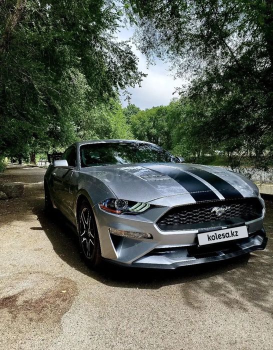 Мустанг на обмен