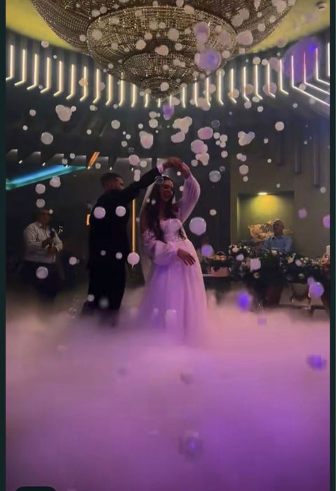 Mascote gonflabile/oglinda foto/masina baloane/tun fum/fum greu/tort