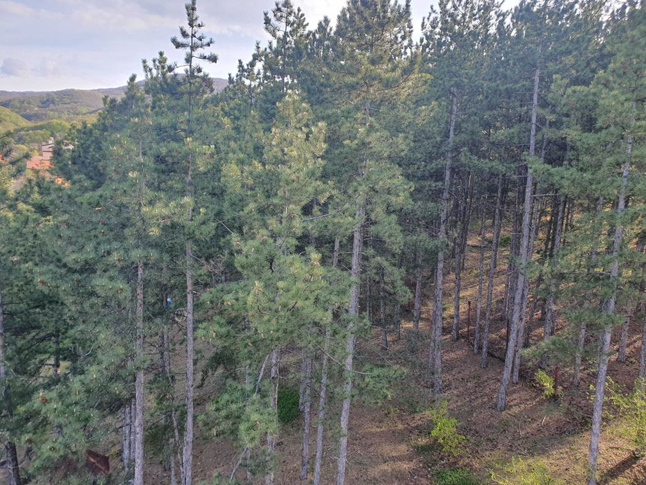 Продава се Многостаен апартамент в Банкя - 201 кв.м за 1319 €/кв.м - Снимка #7