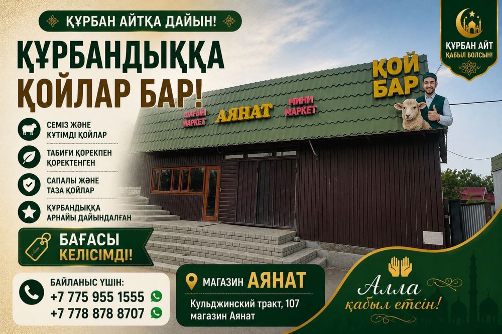 Баран на курбан айт