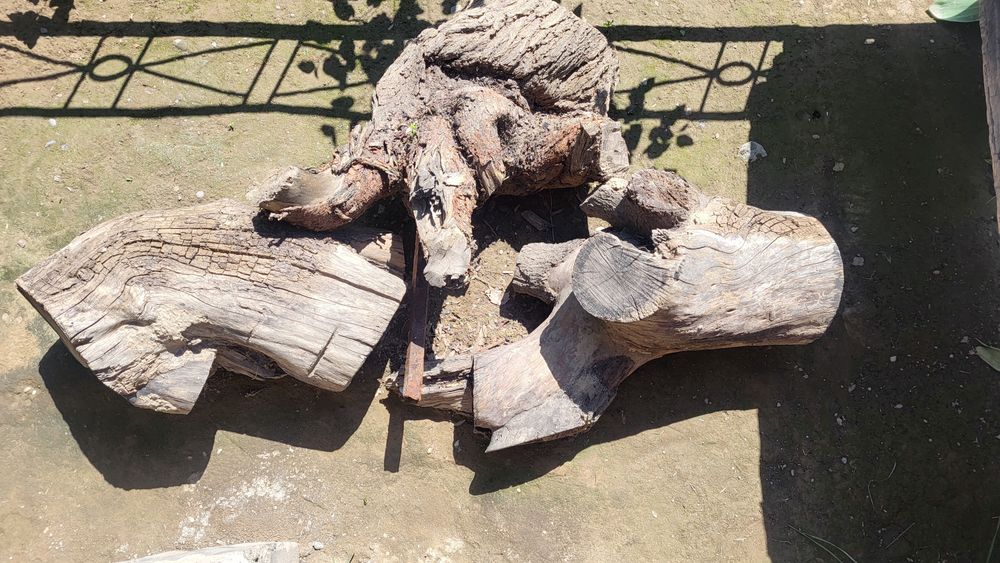 O'tin sotiladi tekingaxam bervoraman