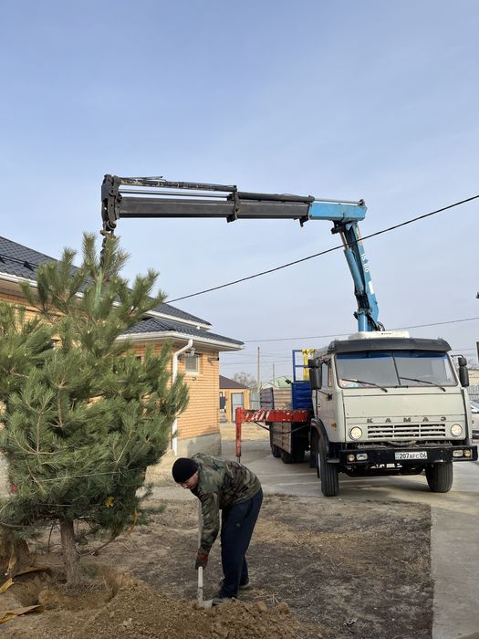 Услуги манипулятора