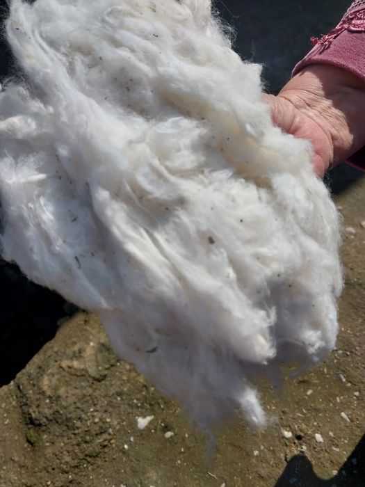 Біраз мақта бар  Тгжде тұр