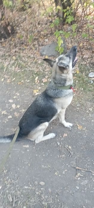 Срочно.  срочно.