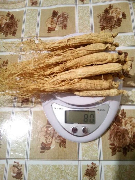 Корень женьшеня сушеный