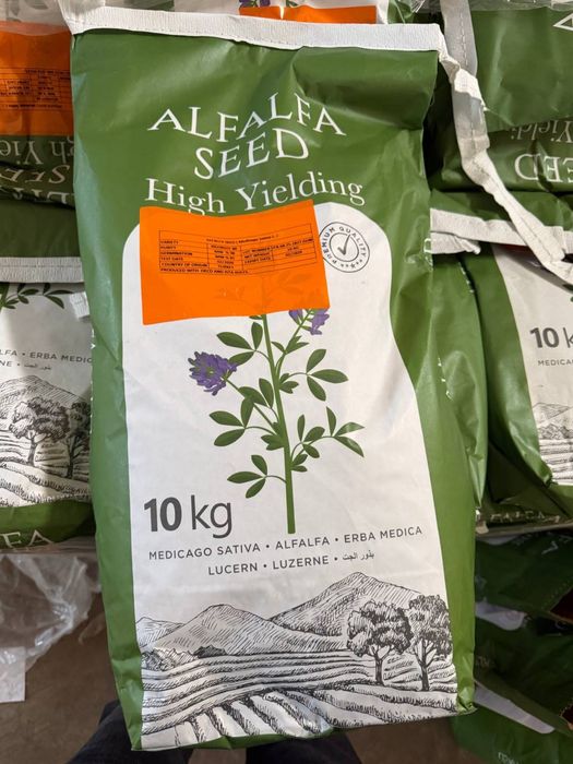 Beda urug’i TURKIY OPTIM