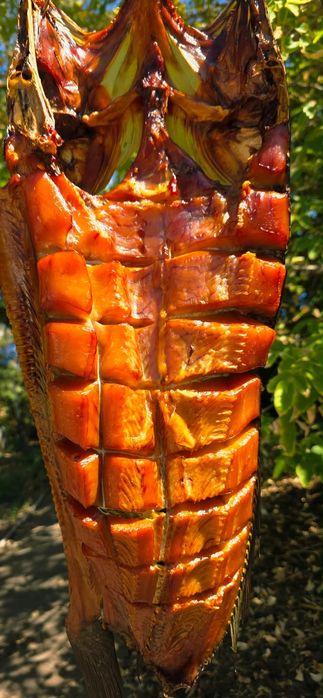 Копчёная рыба с озера Балхаш готовим сами