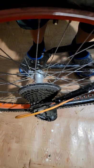 Велик Барс продам