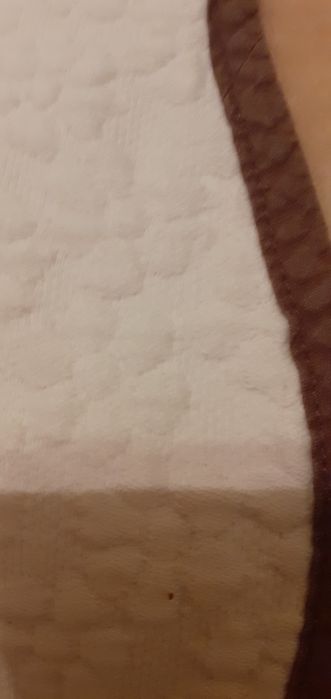 Vand 2 cuverturi elegante si salteluța (topper) de o persoana