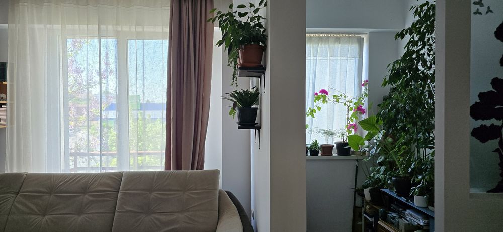 Apartament cu o cameră + boxă beci + garaj