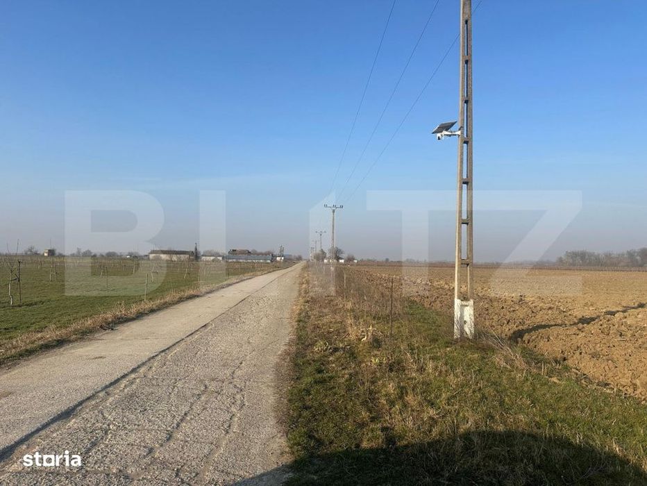 Ferma de nuci - teren agricol, zona Ivesti