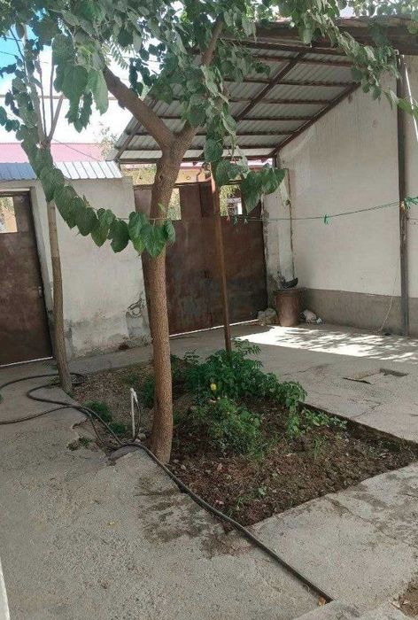 Food city arenda uchaska