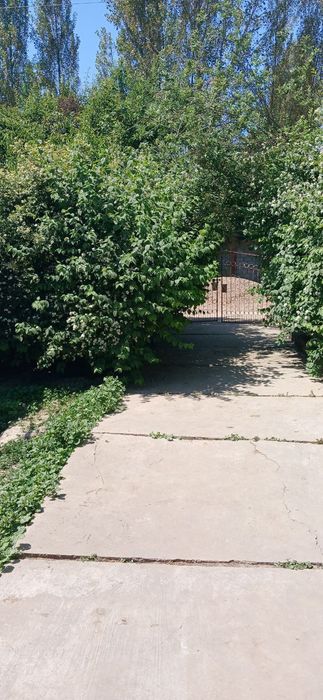 Продаётся дом с большим участком 20 соток