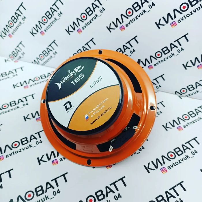 Колонки  DL AUDIO Barracuda165