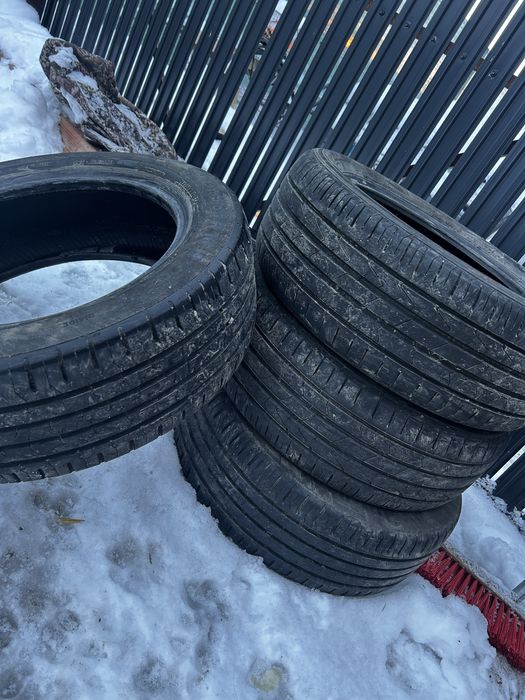 vand caucicuri de vara