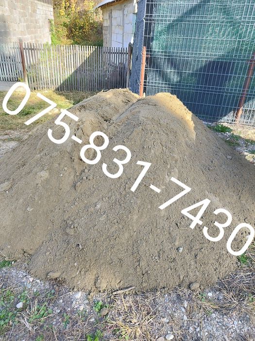 Chisai de gradina sau gazon mranita