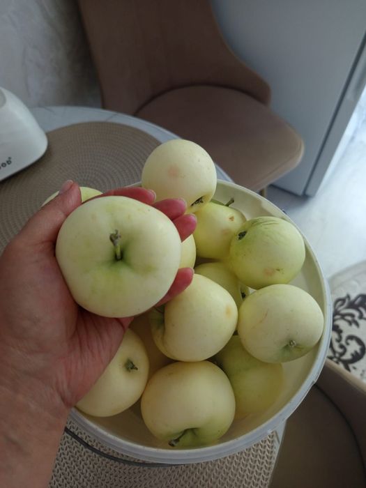 Продам дачу, борки