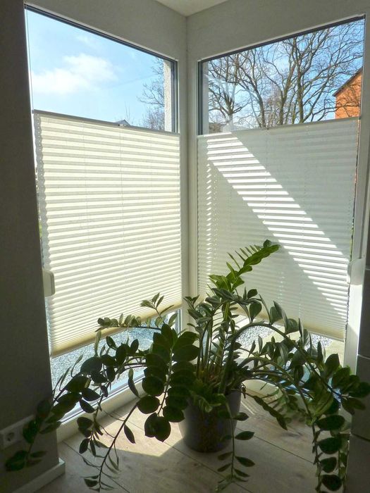 Plisse jalyuzi Samarqand | Plisse | Жалюзи на окна  Pls1951