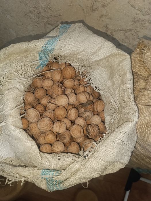 Продам грецкие орехи