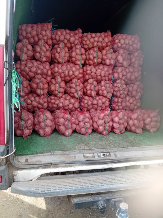 Cartofi consum rosu și alb
