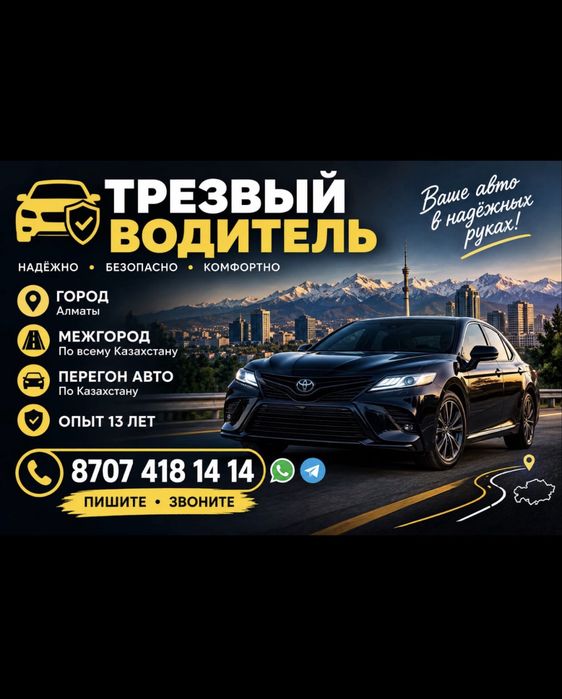Трезвый водитель