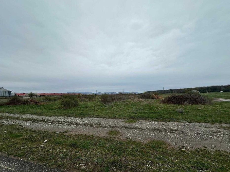 Teren intravilan industrial 5000 mp