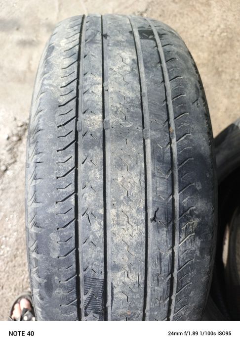 Донгелек сатамын