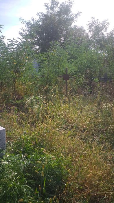 Curăț terenuri defrișez