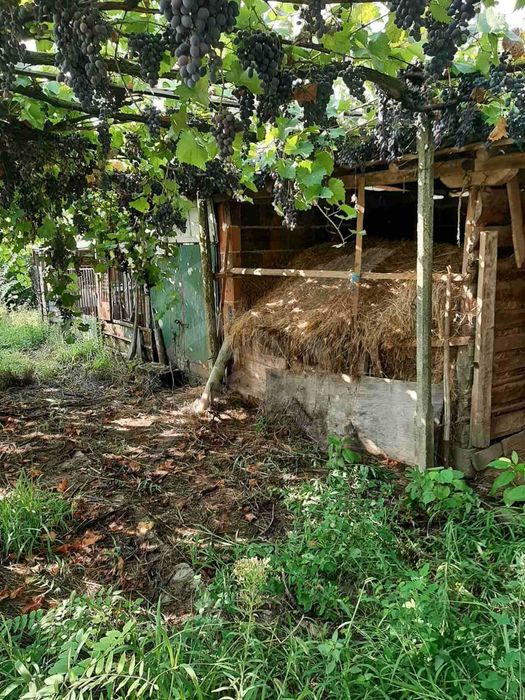 Продава се Къща в с. Чоба, Област Пловдив - 130 кв.м за 170 €/кв.м - Снимка #1