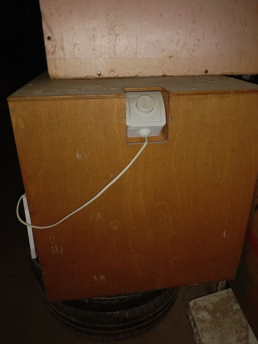 Брудер для цыплят