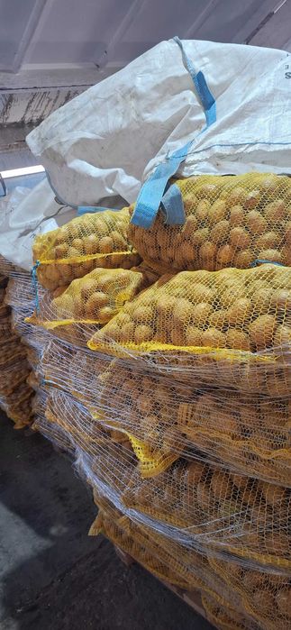 Картофи за консумация и семе