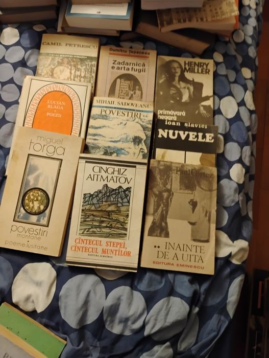 Cărți de literatură