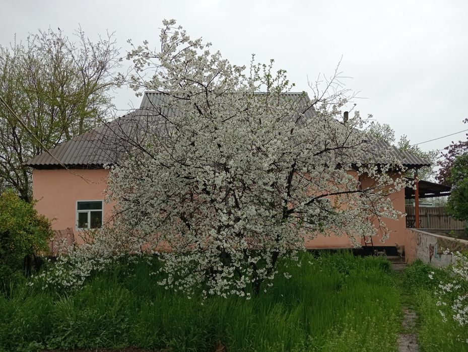 Срочно.Продам дом на даче Кайнар булак