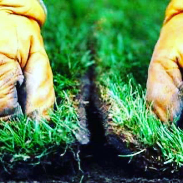 Rulouri gazon natural montaj rapid